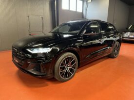 Audi Q8 60 3.0 TFSI e S line plus quattro tiptronic